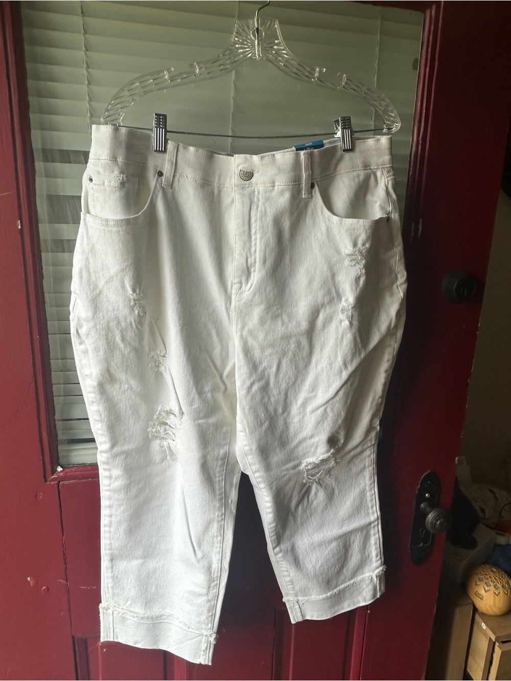 Terra and sky NWT cropped white jeans